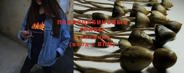 хмурый Кущёвская