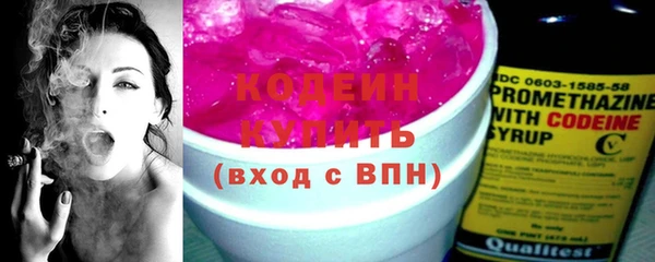 твердый Щигры