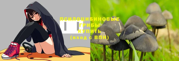 хмурый Кущёвская