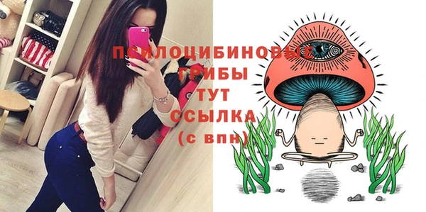 молекула духа Александровское