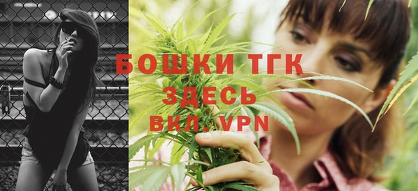 молекула духа Александровское