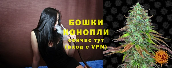 хмурый Кущёвская